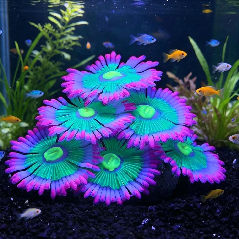 Marine Aquarium For Sale - Glowing Soft Aquarium Fish Tank Decorations