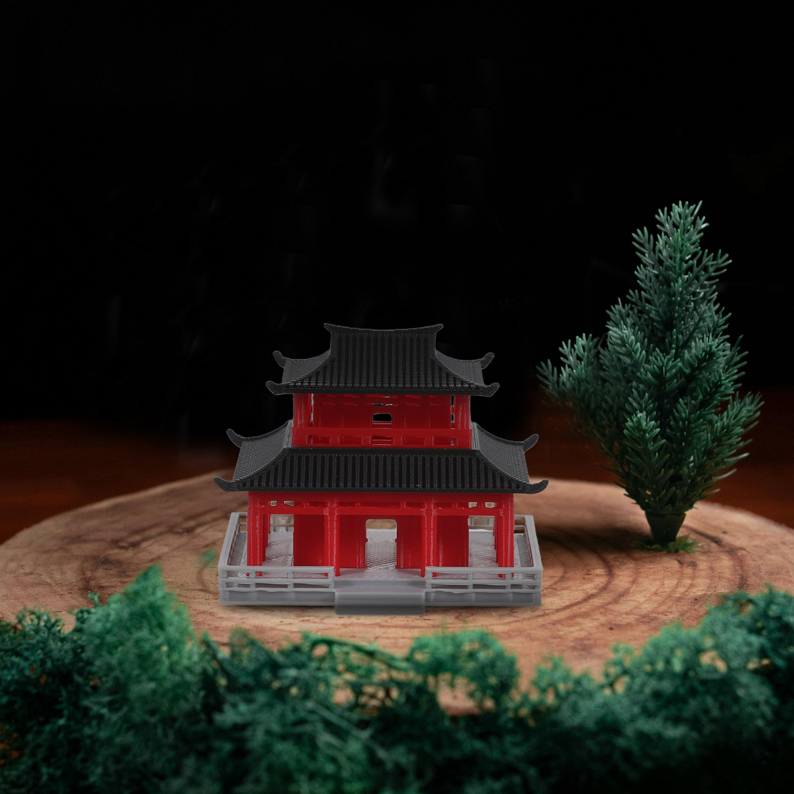 Black Red Ancient Chinese Pavi - Aquarium & Marine Science Center ulasan dan harga