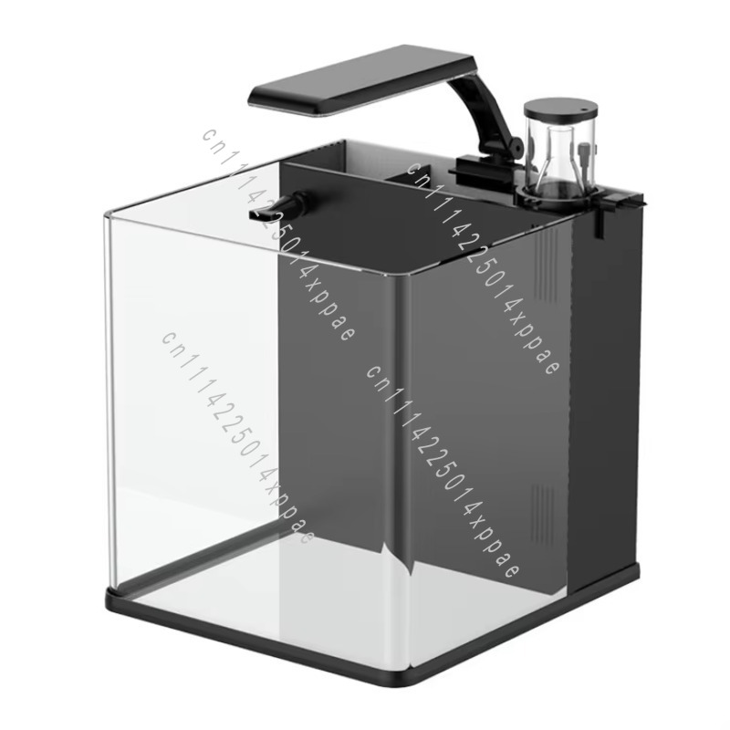 For Marine Clear Glass Mini Sa - Aquarium Marine Clearwater ulasan dan harga