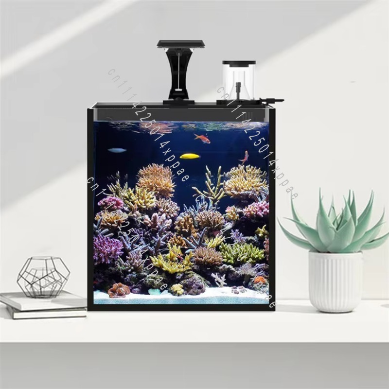 For Marine Clear Glass Mini Sa - Aquarium Marine Clearwater ulasan dan harga