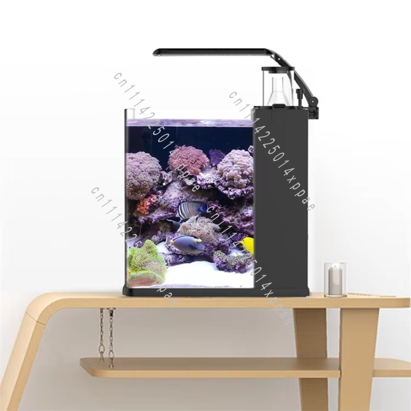 For Marine Clear Glass Mini Sa - Aquarium Marine Clearwater ulasan dan harga