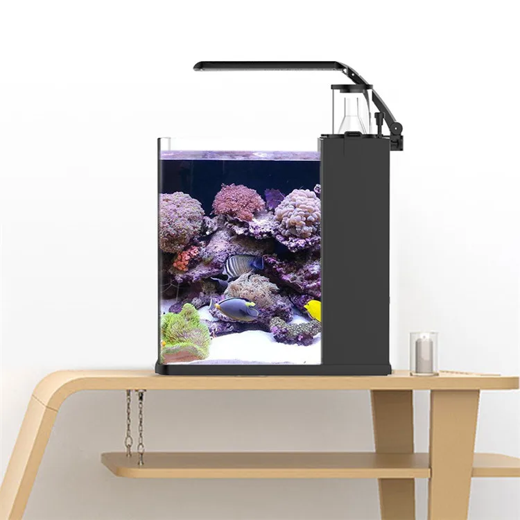 Latest Model Clear Glass Mini  - Aquarium Marine Clearwater ulasan dan harga