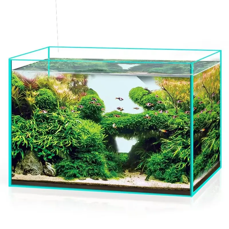 Ultra Clear Glass Aquarium Fis - Aquarium Marine Clearwater ulasan dan harga