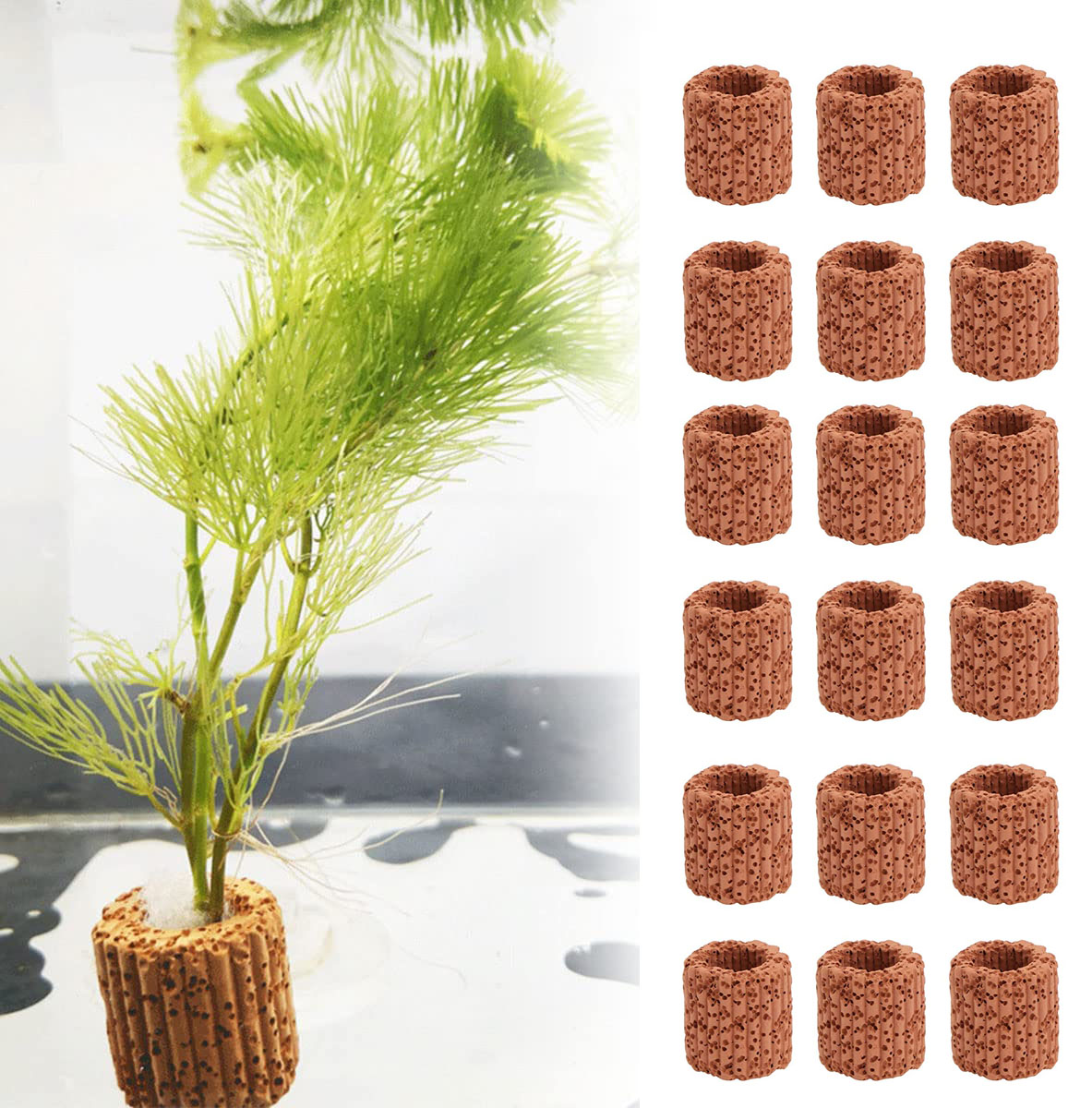 10/20Pcs Aquatic Water Plant F - Marine Aquarium For Sale ulasan dan harga