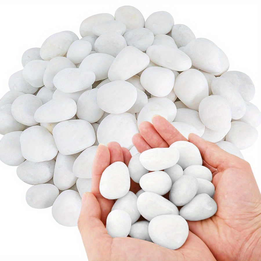 200/400g White High Polished N - Aquarium Marine Fish ulasan dan harga