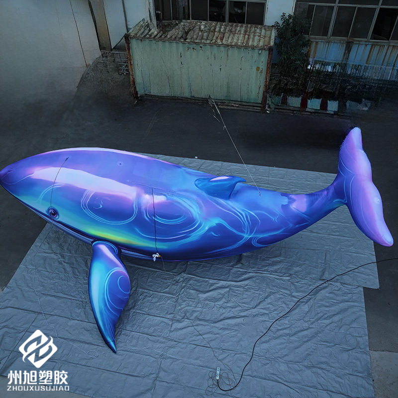 Inflatable blue whale, used as - Marine Aquarium Used ulasan dan harga