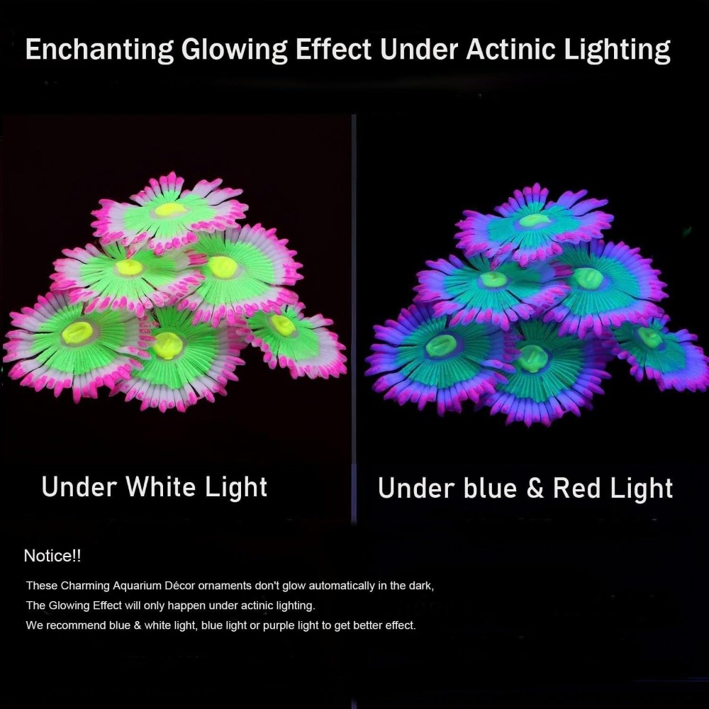 Glowing Soft Aquarium Fish Tan - Marine Aquarium For Sale ulasan dan harga