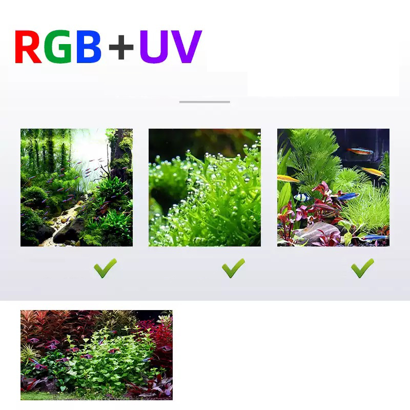 Led Lighting 60cm 80cm 90cm RG - Marine Aquarium For Sale ulasan dan harga