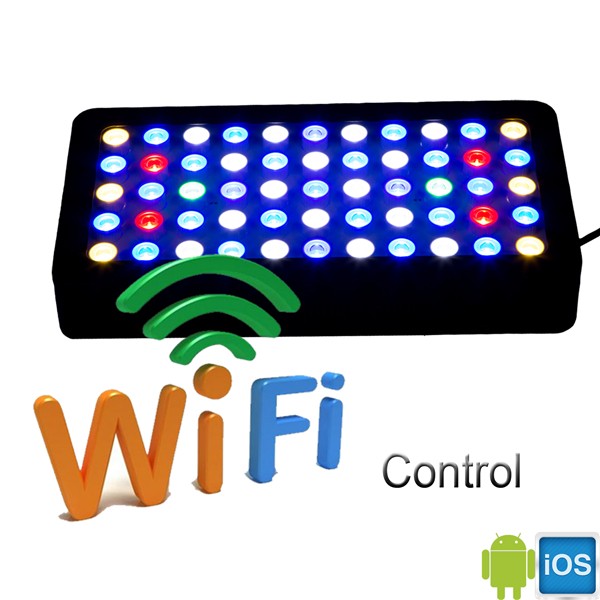 3W Chip LED For Aquarium Progr - Marine Aquarium Used ulasan dan harga