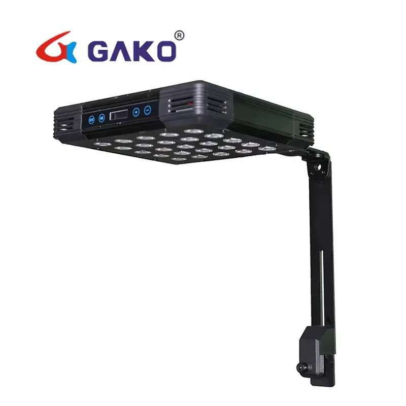 Professional Manufacturer Cora - Marine Aquarium Used ulasan dan harga