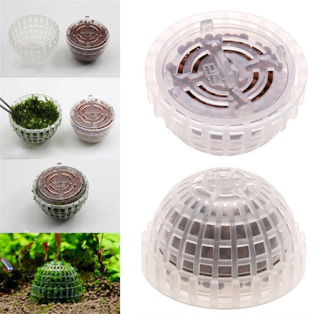 New Plastic Suspension Moss Do - Marine Aquarium For Sale ulasan dan harga