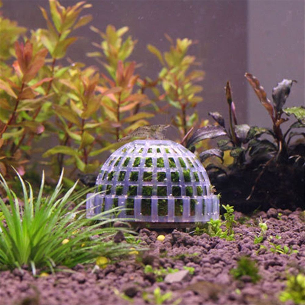 New Plastic Suspension Moss Do - Marine Aquarium For Sale ulasan dan harga