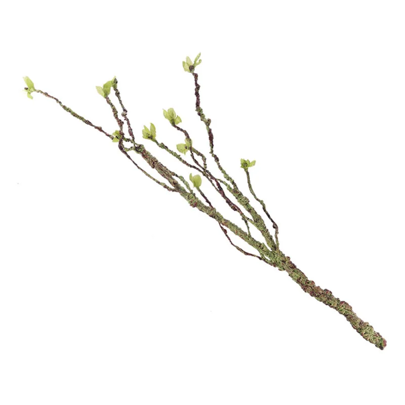 Vines Decor Climbing Branches  - Aquarium Marine Fish ulasan dan harga