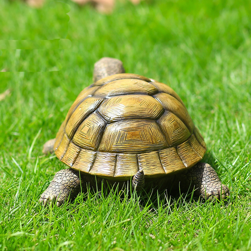 Cute Decorative Turtle Resin T - Aquarium Marine Fish ulasan dan harga