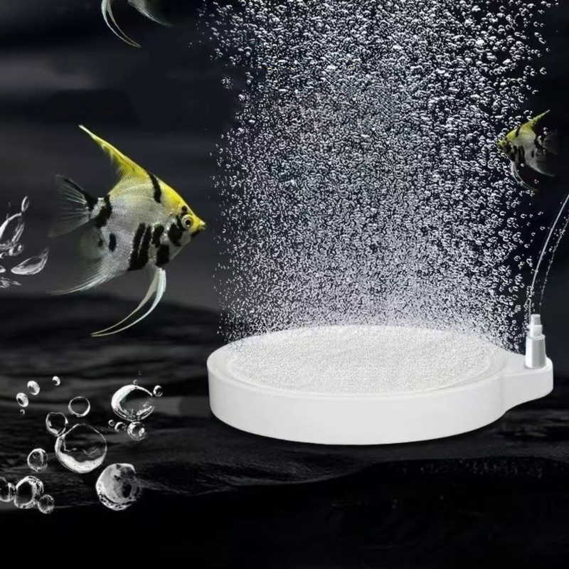 Nano Disc Air Stone Oxygen Aer - Marine Aquarium Equipment ulasan dan harga